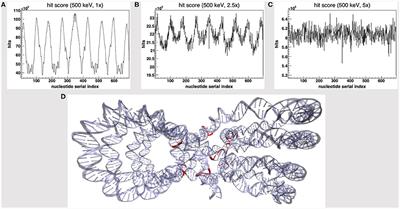 Can We Assess Early DNA Damage at the Molecular Scale by Radiation Track Structure Simulations? A Tetranucleosome Scenario in Geant4-DNA